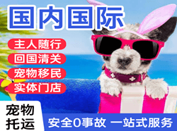 鸡西兴凯湖机场空运国际宠物托运 【国
